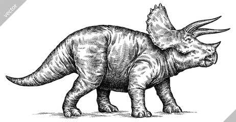 Vintage engraving isolated Triceratops set illustration reptile ink sketch. Dinosaur background silhouette Jurassic art. Black and white hand drawn vector image © Turaev