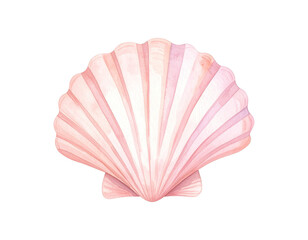 Watercolor illustration of shellfish. Animal watercolor illustration.