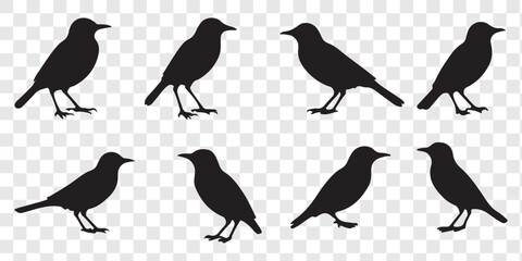 Bird silhouettes set. Bird silhouette vector illustration, perfect for logo design, art projects, and graphic design. 
