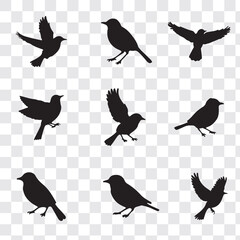 Set Of Bird Vector Bundle. black bird silhouettes. Vector logo birds in flight, bird icon, flying birds silhouette, vector bird illustration, avian symbol. flying birds with spread wings.