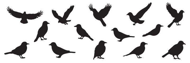 Set of black flying birds silhouettes. The silhouettes of birds on branches are depicted in a modern illustration featuring a starling, jay, sparrow, and titmouse sitting on a branched tree. 