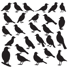 Obraz premium Set of black flying birds silhouettes. The silhouettes of birds on branches are depicted in a modern illustration featuring a starling, jay, sparrow, and titmouse sitting on a branched tree. 