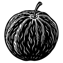 vector illustration of an apple