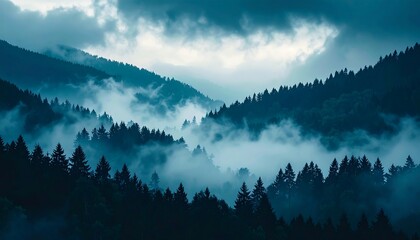 Misty Mountain Forest Landscape.