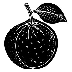 vector illustration of a pumpkin