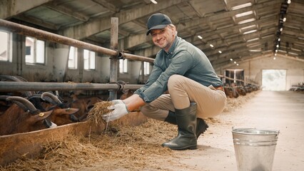 Good-looking hard working man with gloves holding hay and feeding goats and lambs in shed. Attractive worker smiling, happily looking at camera. Concept of farming, village lifestyle. © VAKSMANV