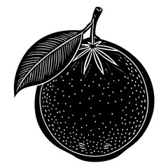 vector illustration of a red apple