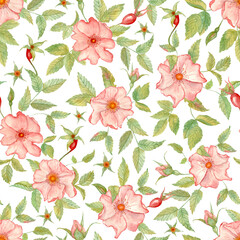 Hand-Painted Watercolor Seamless Rosehip Pattern – Pink Flowers on Transparent Background