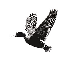 Detailed illustration of a flying duck in black and white.