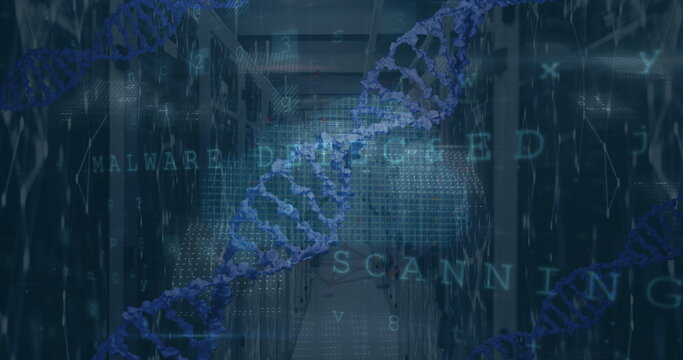 Spiraling double helix graphic weaving through data center corridor, with binary code overlays