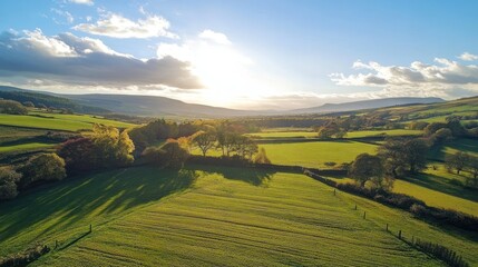 Serene Autumnal Landscape: Rolling Hills and Golden Fields