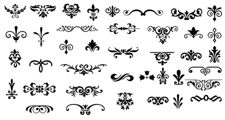 Elegant Floral Ornaments & Decorative Flourishes Collection for Design Elements