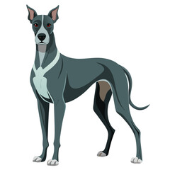 vector illustration of a dog