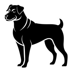 vector illustration of a dog