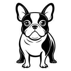 vector illustration of a dog