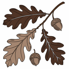 oak leaves and acorns