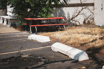 Outdoor picnic table under tree