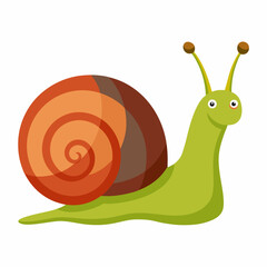 snail on a white background