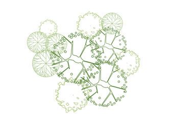 architecture drawing plant tree top view plan greenery vegetation vector. design nature architectural landscape set element illustration bush garden flora sapling minimal. architect isolated.