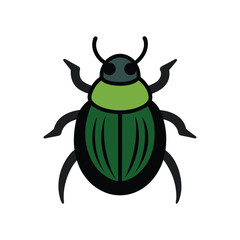 Scarab beetle insect vector art illustration