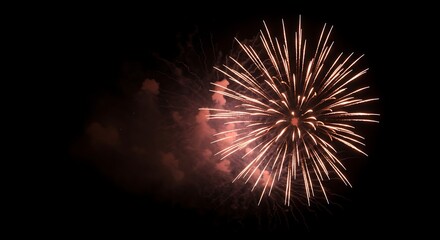 Fototapeta premium Fireworks Display in the Night Sky