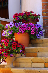 Flower pots with a classic staircase in front of a beautiful house.