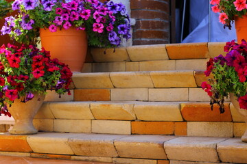 Classic marble staircase with flower pots.