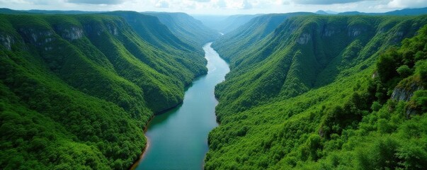 Serpentine river meanders, vibrant green rainforest surrounds, high altitude shot, tropical, jungle scenery