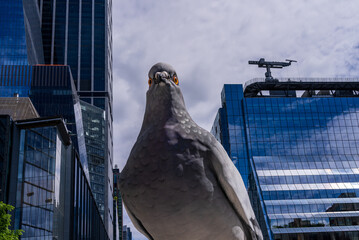 Forced perspective makes large pigeon sculpture on High Line look life sized in front of office buildings