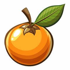 vector illustration of orange fruit