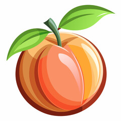 vector illustration of an orange