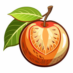 vector illustration of a pumpkin