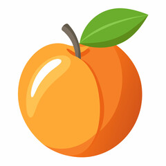 vector illustration of an orange fruit
