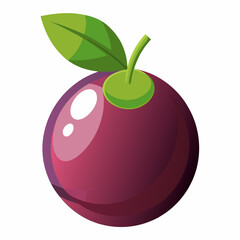 vector illustration of plum