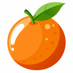orange fruit vector illustration