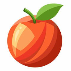 vector illustration of tomato