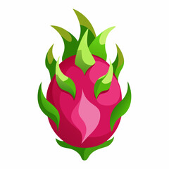 vector illustration of an apple