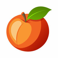 vector illustration of an orange
