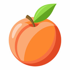 vector illustration of an apple