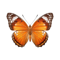 Vibrant Monarch Butterfly with Orange Wings and White Patterns Isolated on a Clean Background Transparent background or png
