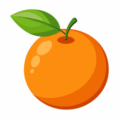 vector illustration of an orange