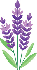 flat Lavender Vector Illustration for Beauty and Wellness