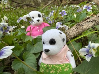 panda in the garden © Chloe