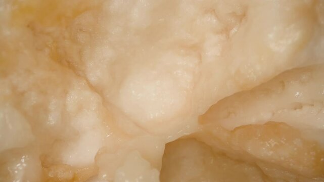 Empty Inner Shell of Santol Rotating While Falling Downward in Macro Overhead View, Highlighting Pithy Flesh and Cavity Texture, Motion Effect, Exotic Fruit Concept