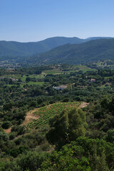 Obraz premium Paysage varois