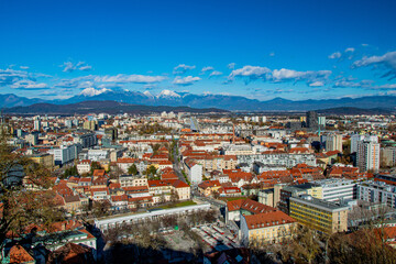 aerial view of the city