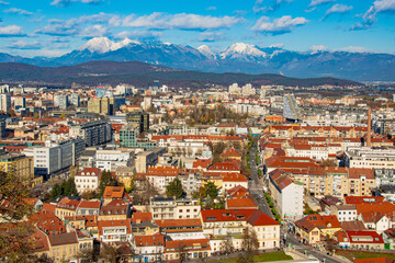 aerial view of the city