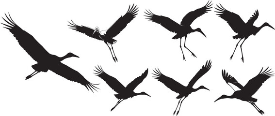 Flying stork birds silhouette vector illustration