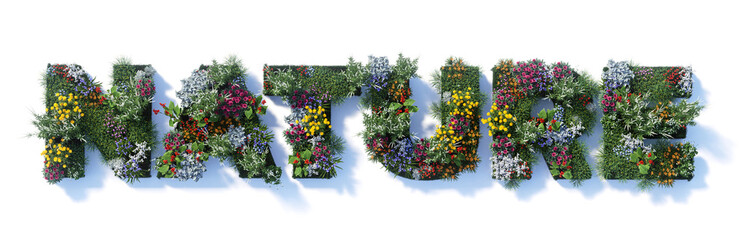 3D render of the word "NATURE" made of colorful flowers and green grass with clipping path. Eco concept isolated on white background.