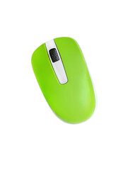 Green computer mouse on a white background